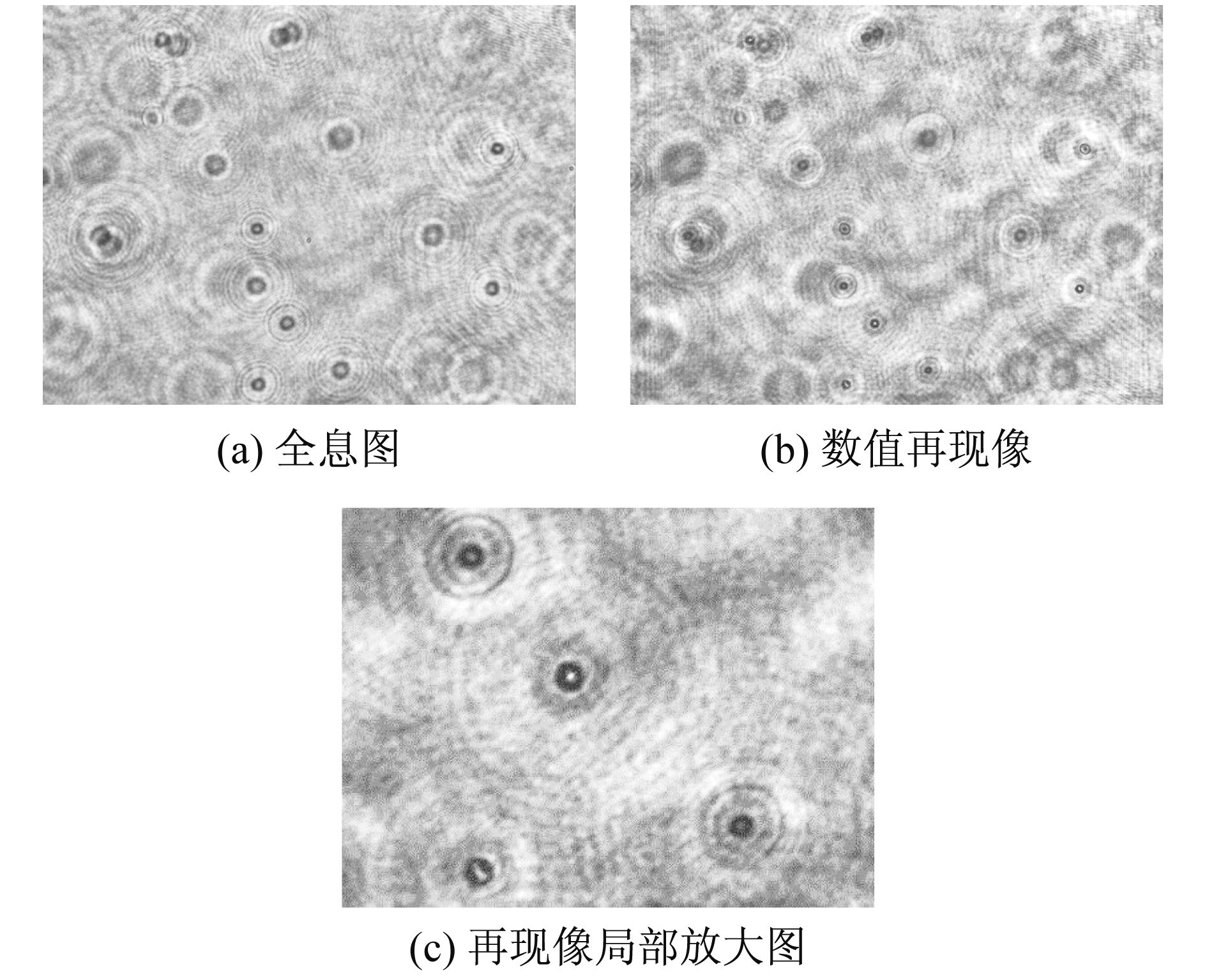 点击查看原图